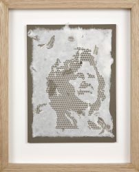 Anne 3 (pieces of wasp nest in manilla)