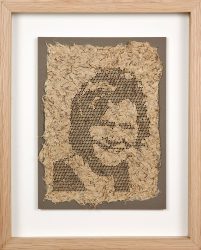 Anne 4B (creeping thistle)