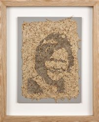 Anne 4 (creeping thistle)