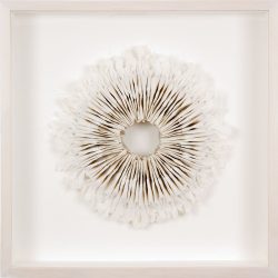 Millstone 04 | material: cotton, bandages | 55 x 55 x 5 cm framed