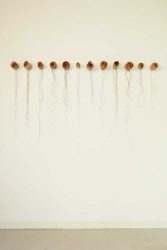 Seed total and floor