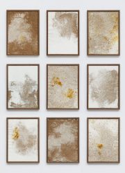 Hop and Cotton total