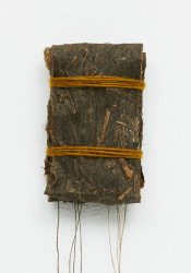 Package Evening Primrose