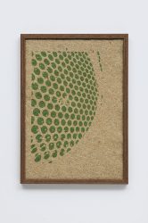 Parsip plant small print 03