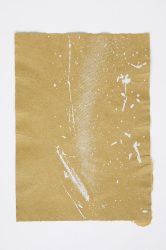 Parsnip plant big print 01