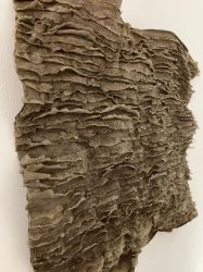 The Delay of Time side