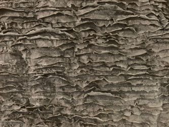 The Delay of Time surface