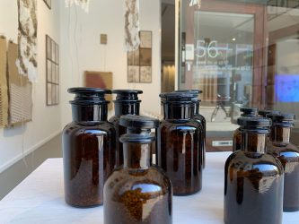 Bottles with Seeds