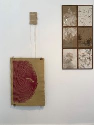 Print on parsnip paper