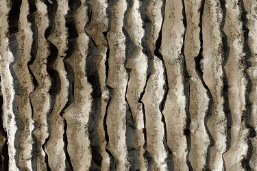 Lost in Tides detail