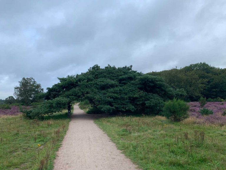 Natural gate