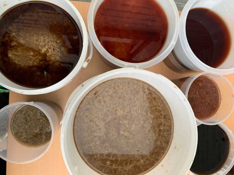 Natural coloured pulp