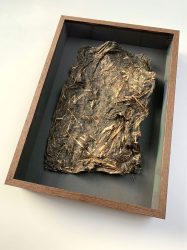 Forest dawn perspective