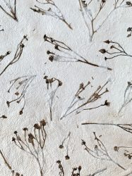 Hoorneboeg Boerenwormkruid detail