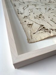 Hoorneboeg Boerenwormkruid frame detail