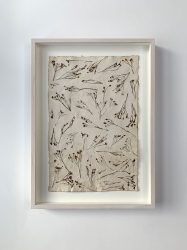 Hoorneboeg Boerenwormkruid total