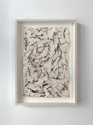 Hoorneboeg Heide total