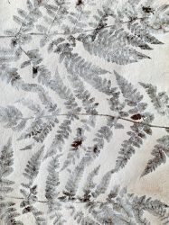 Hoorneboeg Varen detail