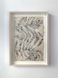 Hoorneboeg Varen total