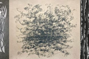 07-Verbeelde-natuur-in-papier