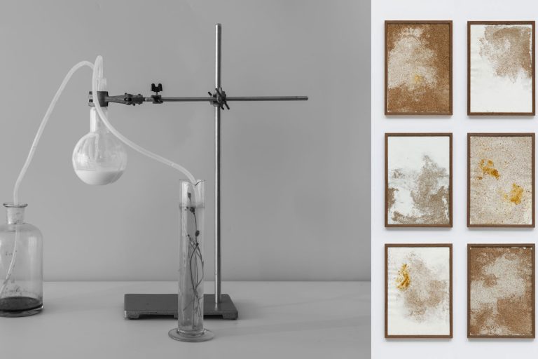 12-SPECIMENS-Vergeten-Zaden