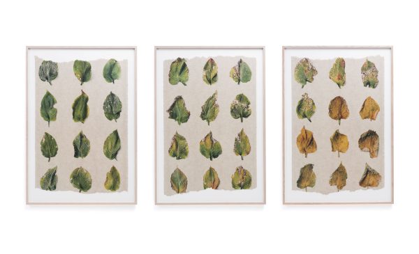 Hosta drieluik | 130 x 90 each | SOLD