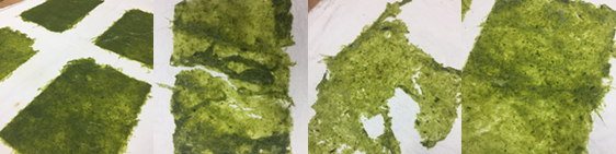 brandnetelpapier-strook